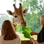 Zoo Atlanta