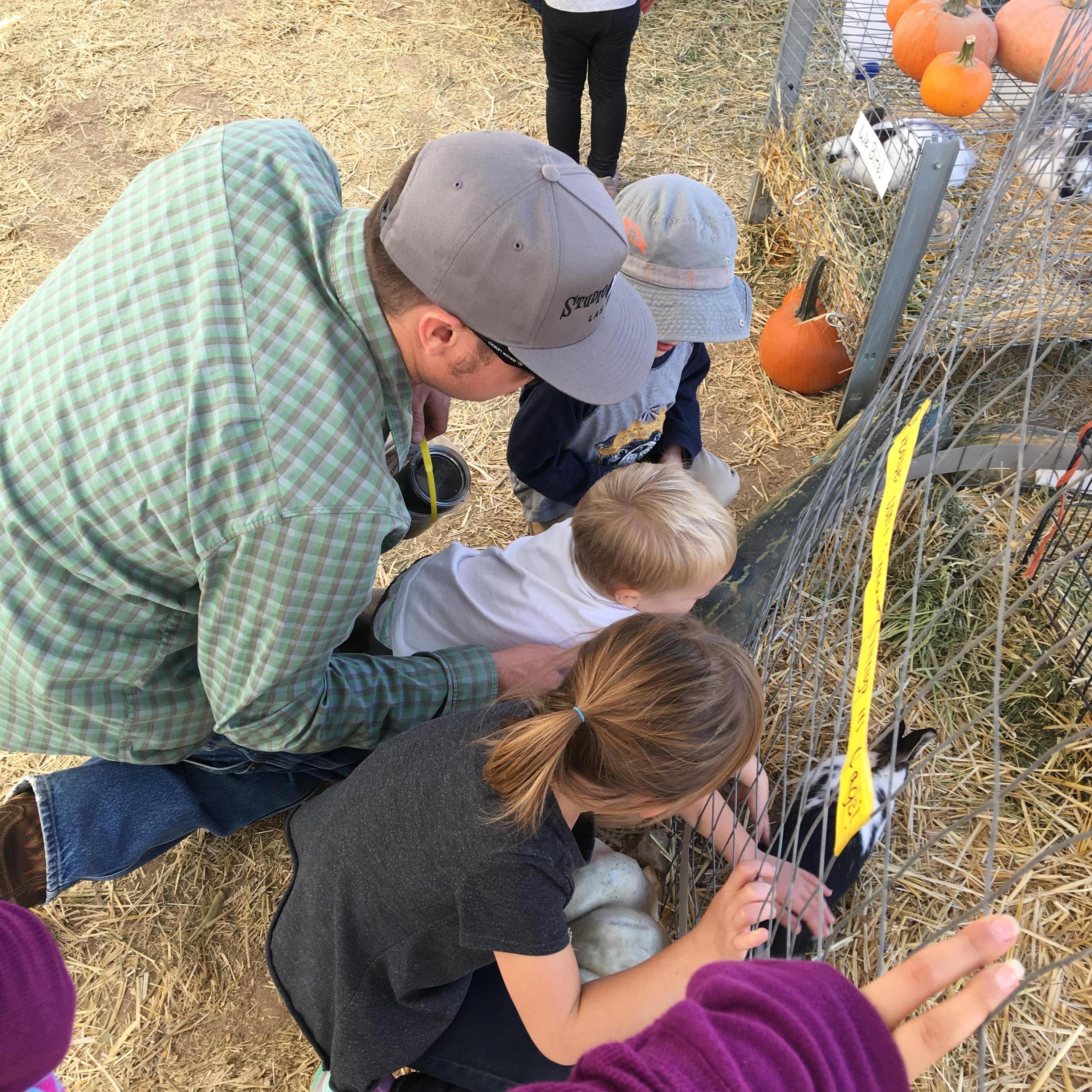 Pumpkin Patch 2017