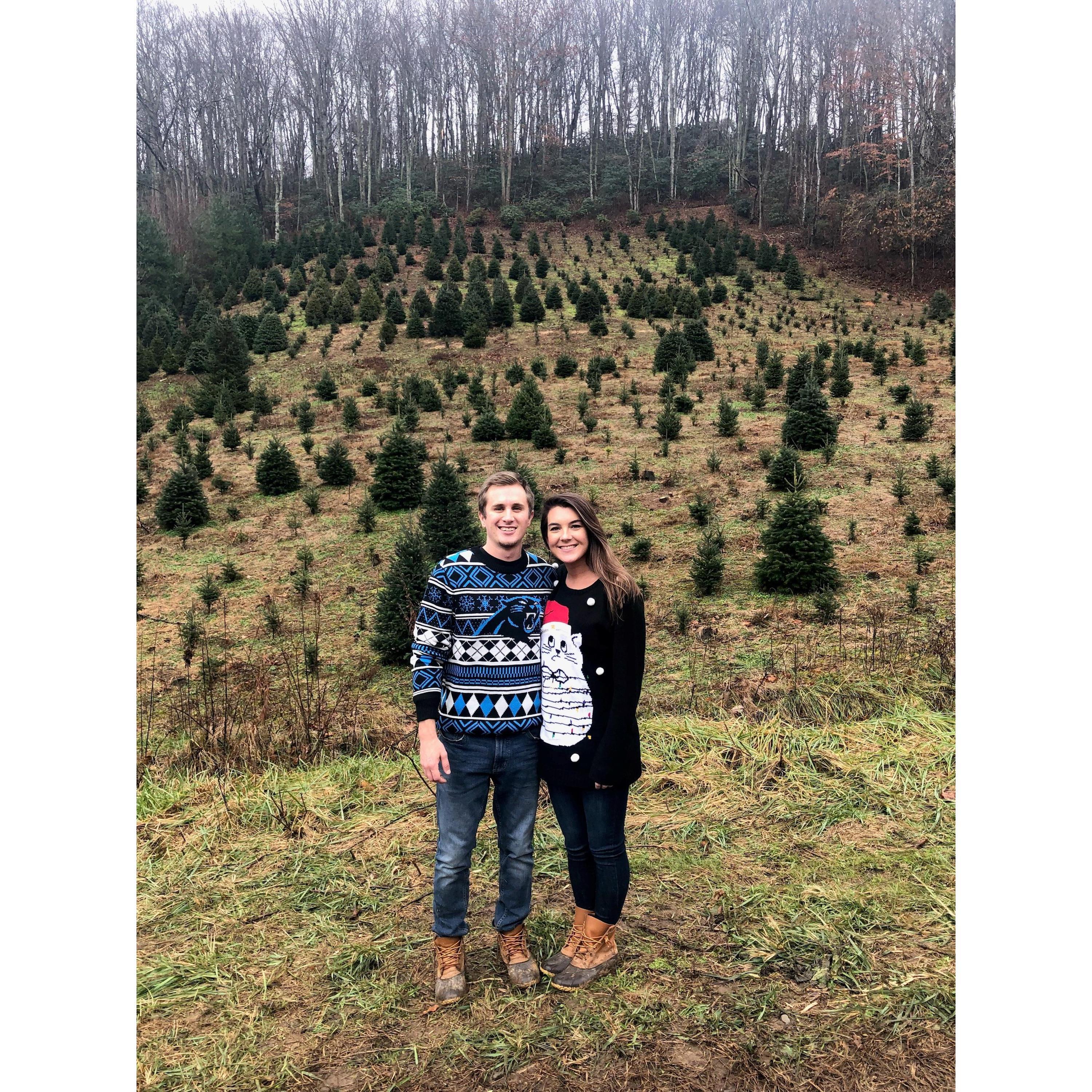 The first time we went to the Christmas tree farm!
And if you're wondering, yes the Kitty Christmas sweater did light up.