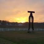 The Dog and Oyster Vineyard