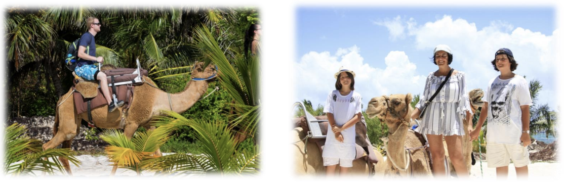 The Wedding Website of Daniel Newell and Melissa Lehman