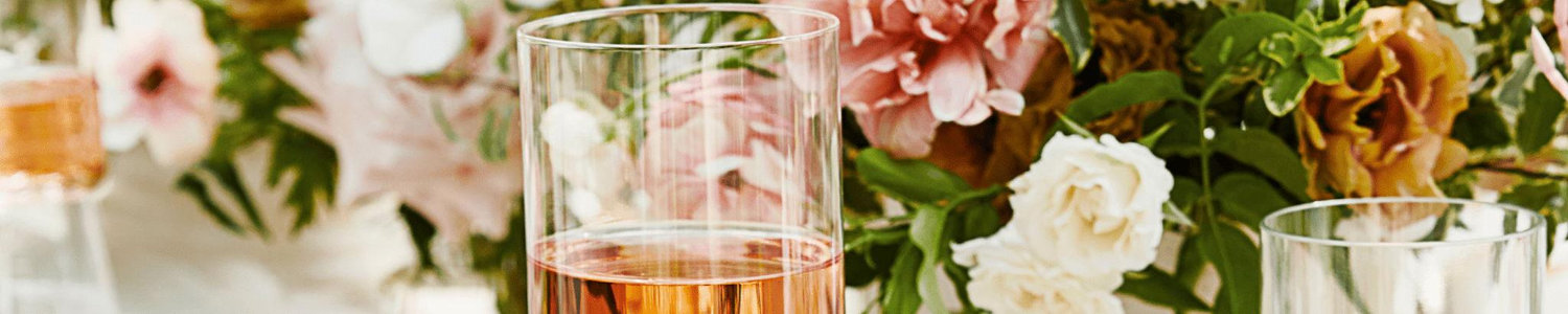 The Wedding Website of Paola Castro Vargas and Devon MunzPhelps