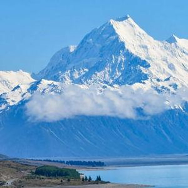 New Zealand Honeymoon
