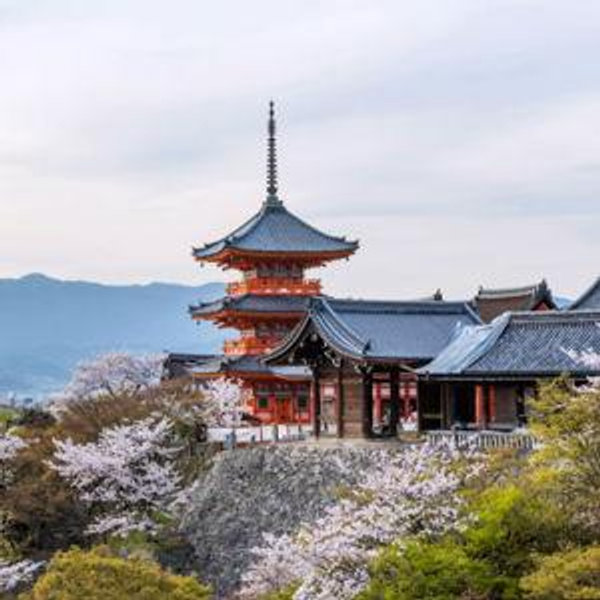 Japan Honeymoon Fund