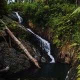 El Yunque National Forest - Visitor Center