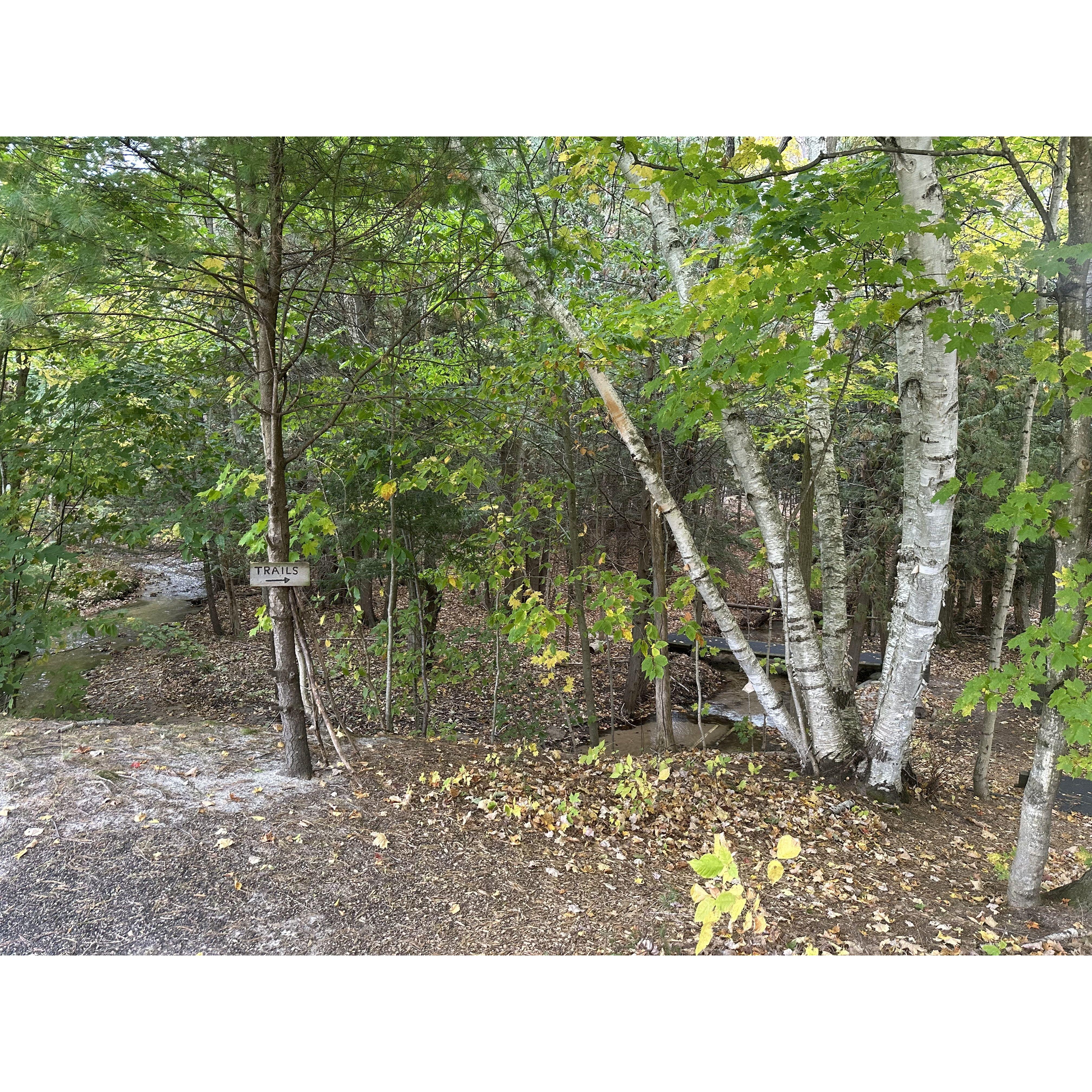 The property we stayed at had a beautiful little path, winding through the trees. It's the path we took when we got engaged 💛