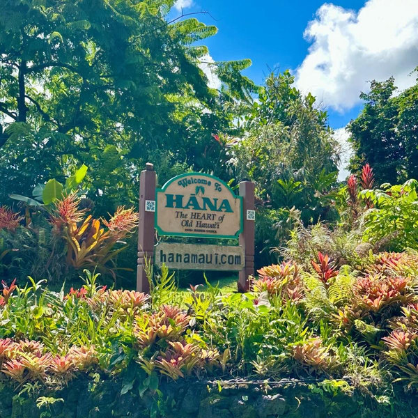 Honeymoon Day Trip on Road to Hana