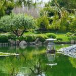 Japanese Friendship Garden of Phoenix