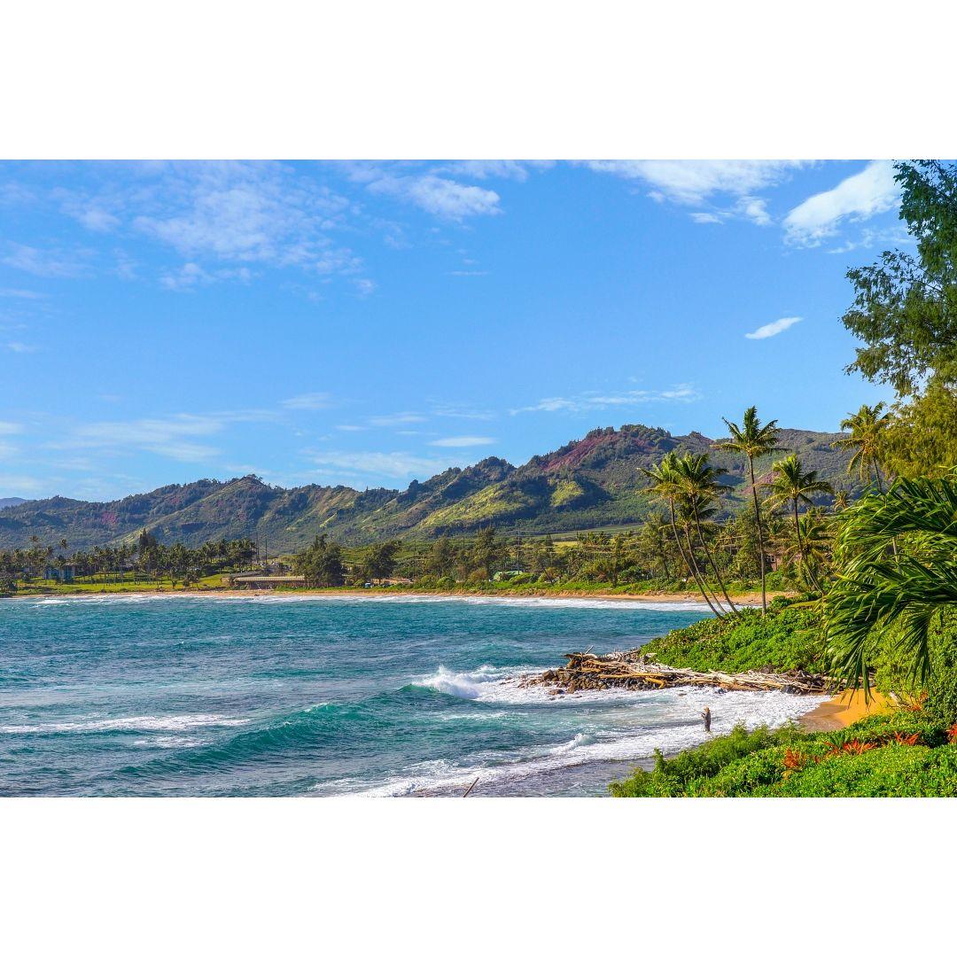 Wailua Bay where we will say I do!