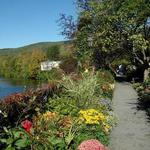 Bridge of Flowers