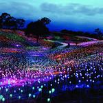 Sensorio Field of Light