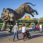 San Diego Zoo