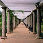 Maymont