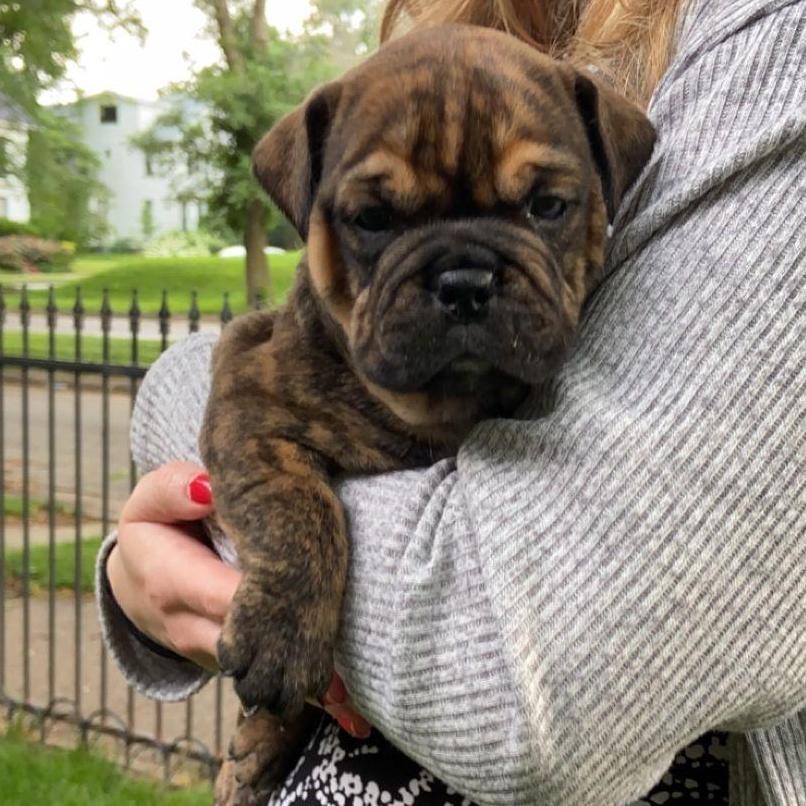 Baby Doug