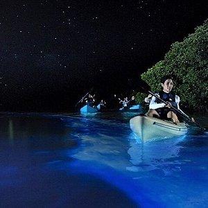 Activities during honeymoon