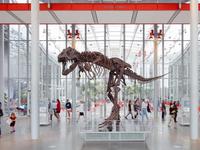 California Academy of Sciences