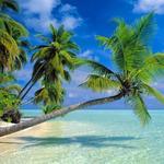Saona Island