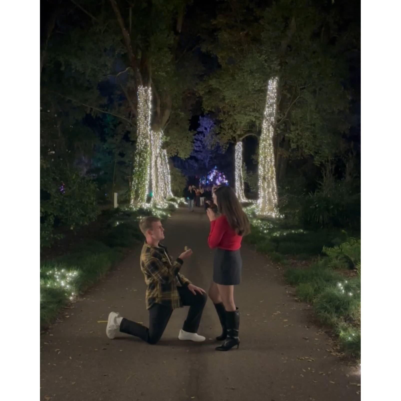 The Engagement