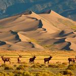 Great Sand Dunes National Park and Preserve