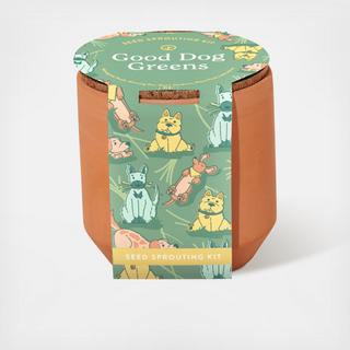 Pet Tiny Terracotta Kit, Set of 2