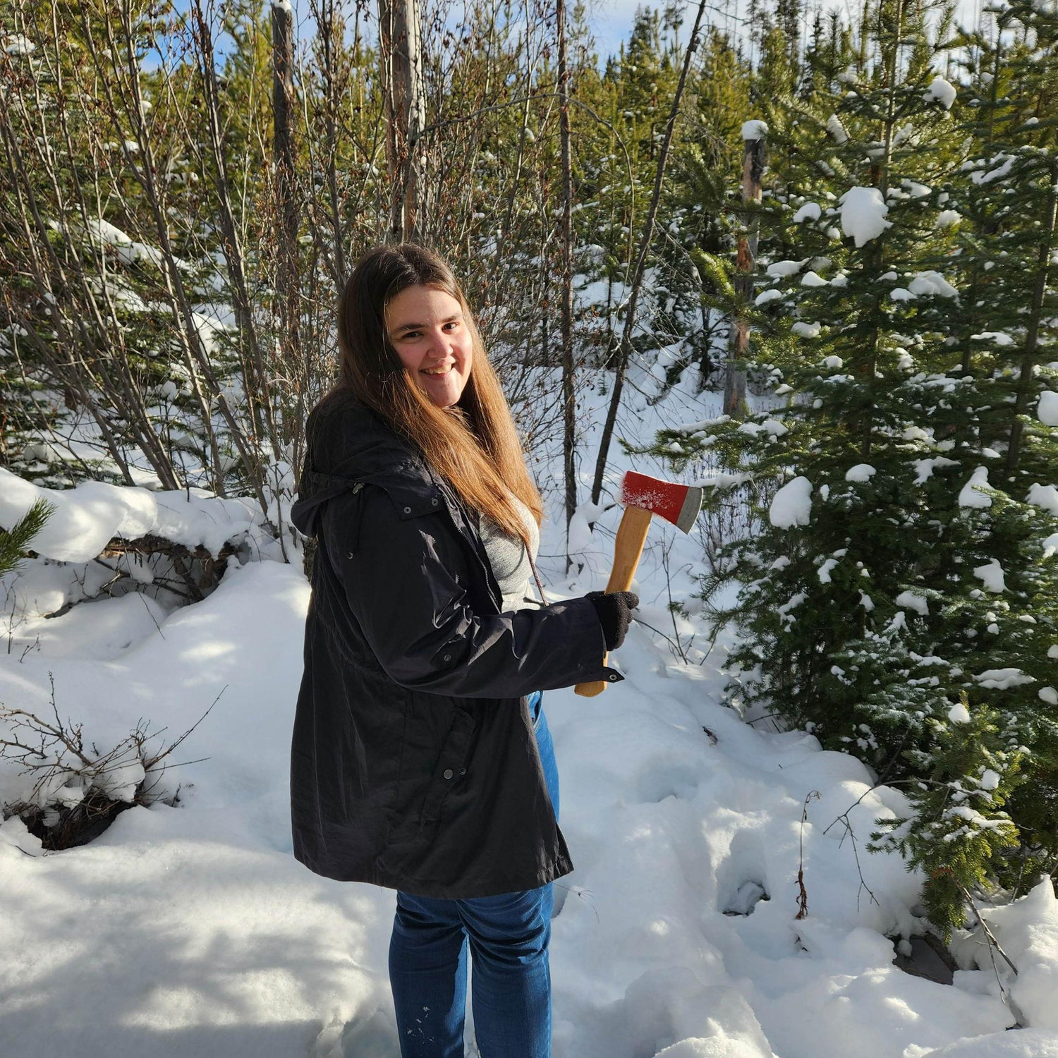 Getting our first Christmas Tree