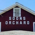 Soons Orchards