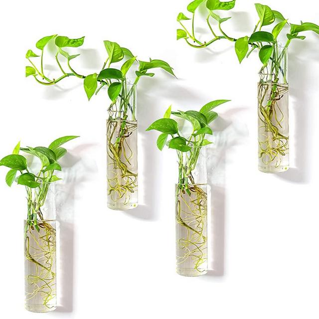 Kingbuy Wall Hanging Planter Glass Plant Propagation Station for Home Decor, Large Cylinder, 4 Pack