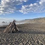 Goat Rock State Beach - Sonoma Coast State Park