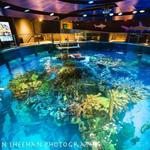 New England Aquarium
