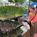 Rincon Farmer’s Market