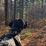 Wildcat Mountain State Park