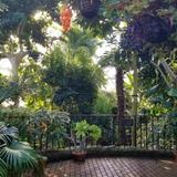 Olbrich Botanical Gardens