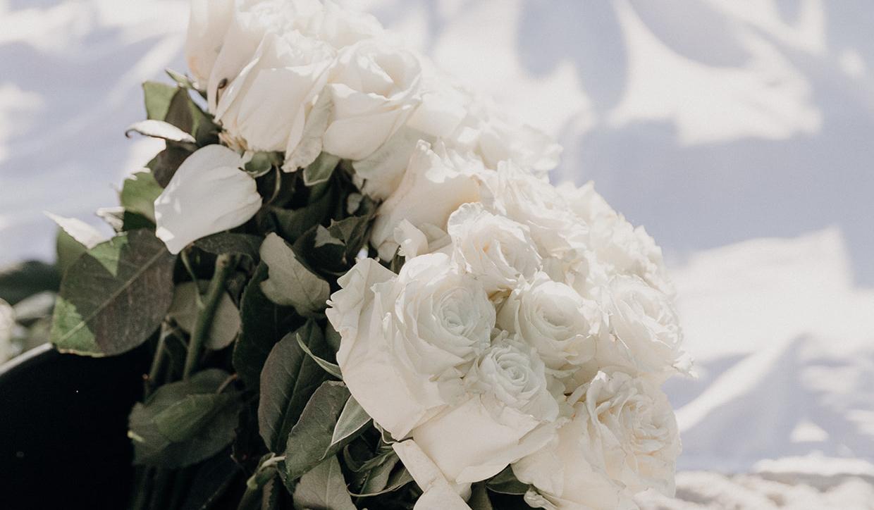 The Wedding Website of Alyson Jones and Kyle King