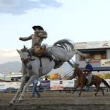 Ravalli County Fair Rodeo