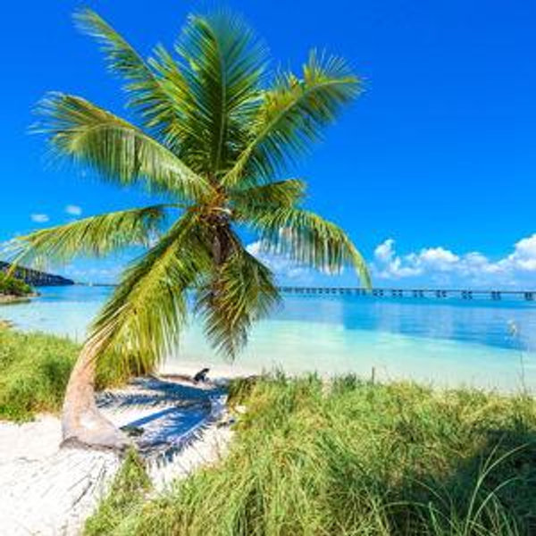 SEND US ON AN AMAZING HONEYMOON. <3 - Venmo