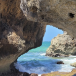 Survival Beach