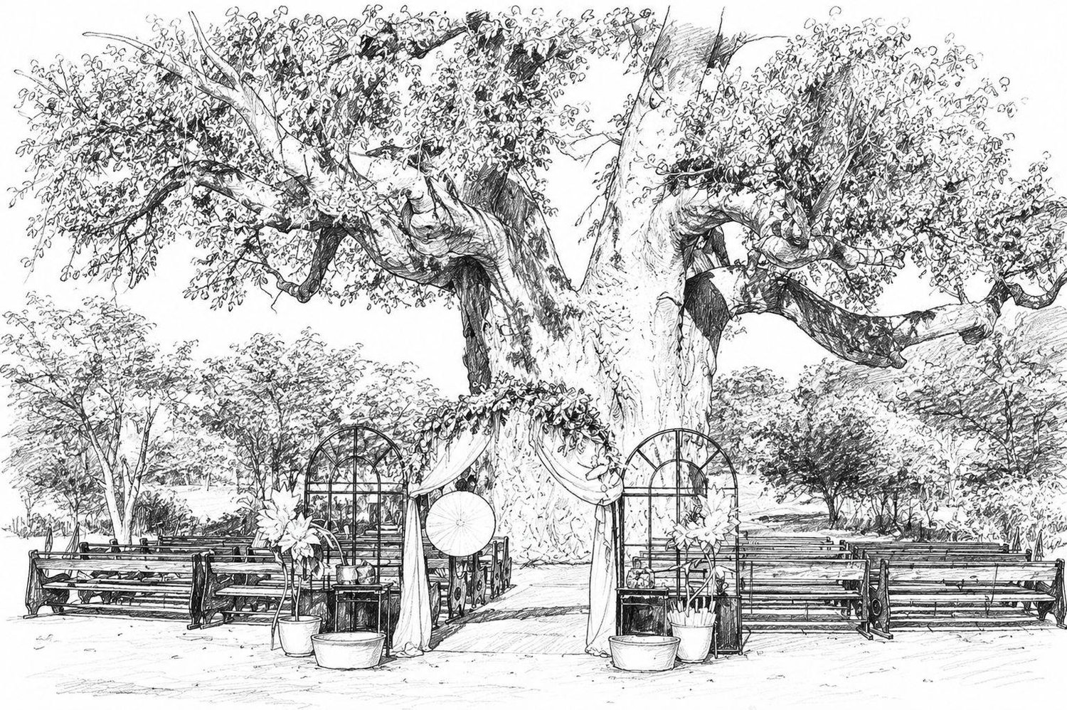 The Wedding Website of Renier Marais and Coerien Du Preez