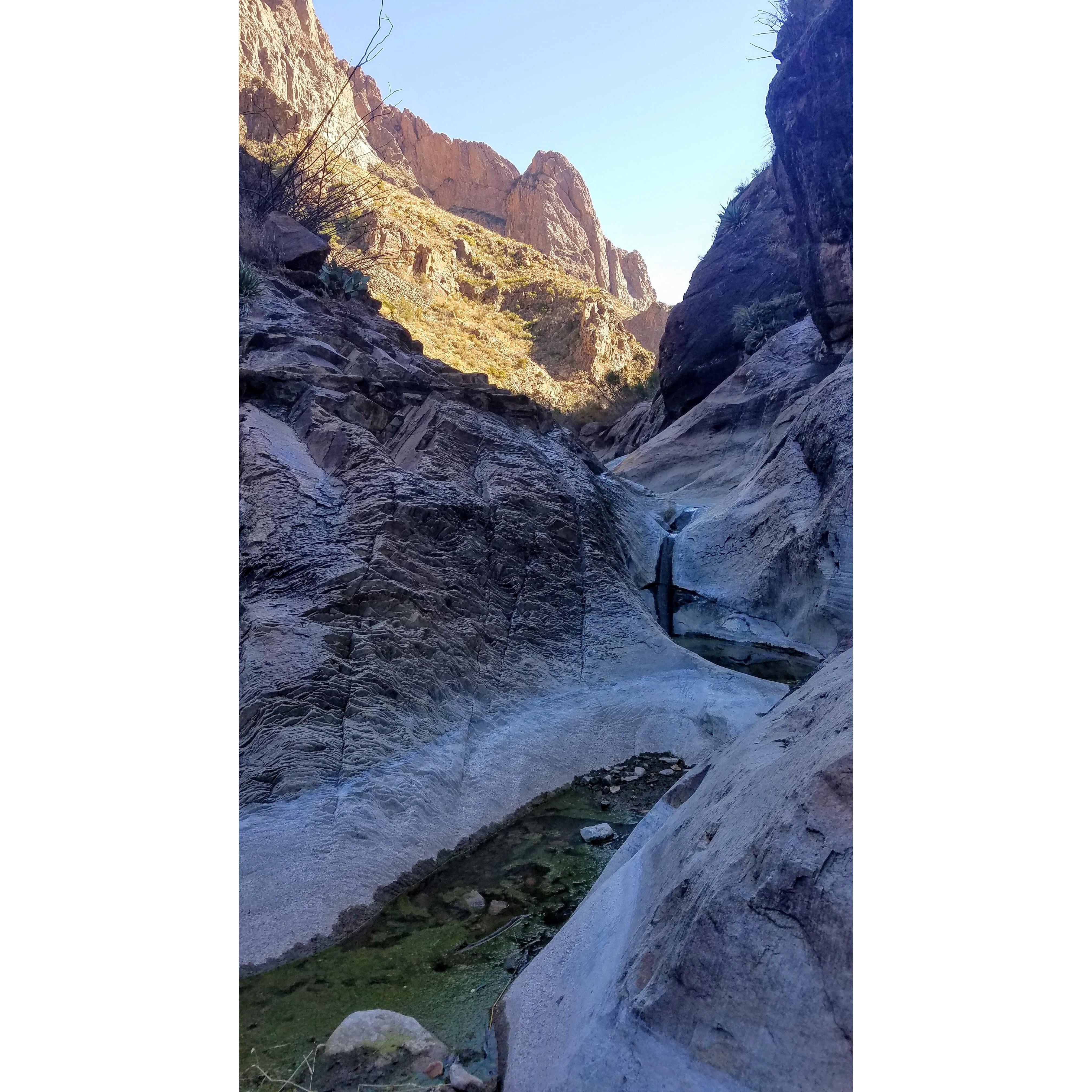Windows trail in the Chisos mountains. This moderate trail is a great alternative to more strenuous climbs in the Chisos.  Windows ends at a canyon pour off with an amazing view of the park.