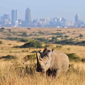 Nairobi National Park - entrance fees
