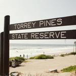 Torrey Pines State Reserve