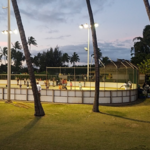 Public Skating: Maui Inline Hockey Association