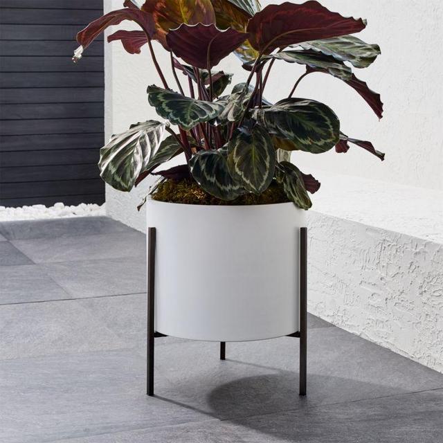 Dundee Low White Indoor/Outdoor Planter with Stand