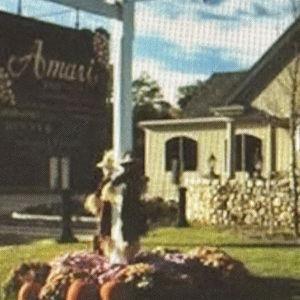 Dinner For Two at Amari's