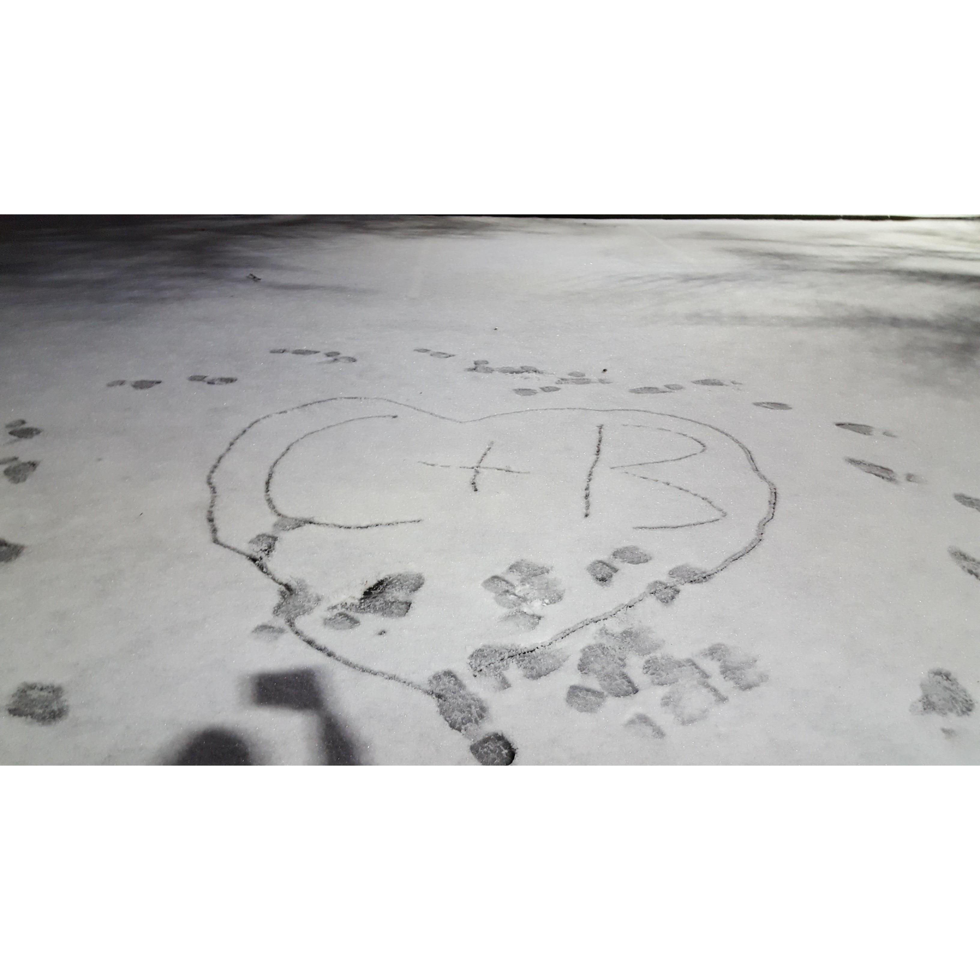 Snow 2017