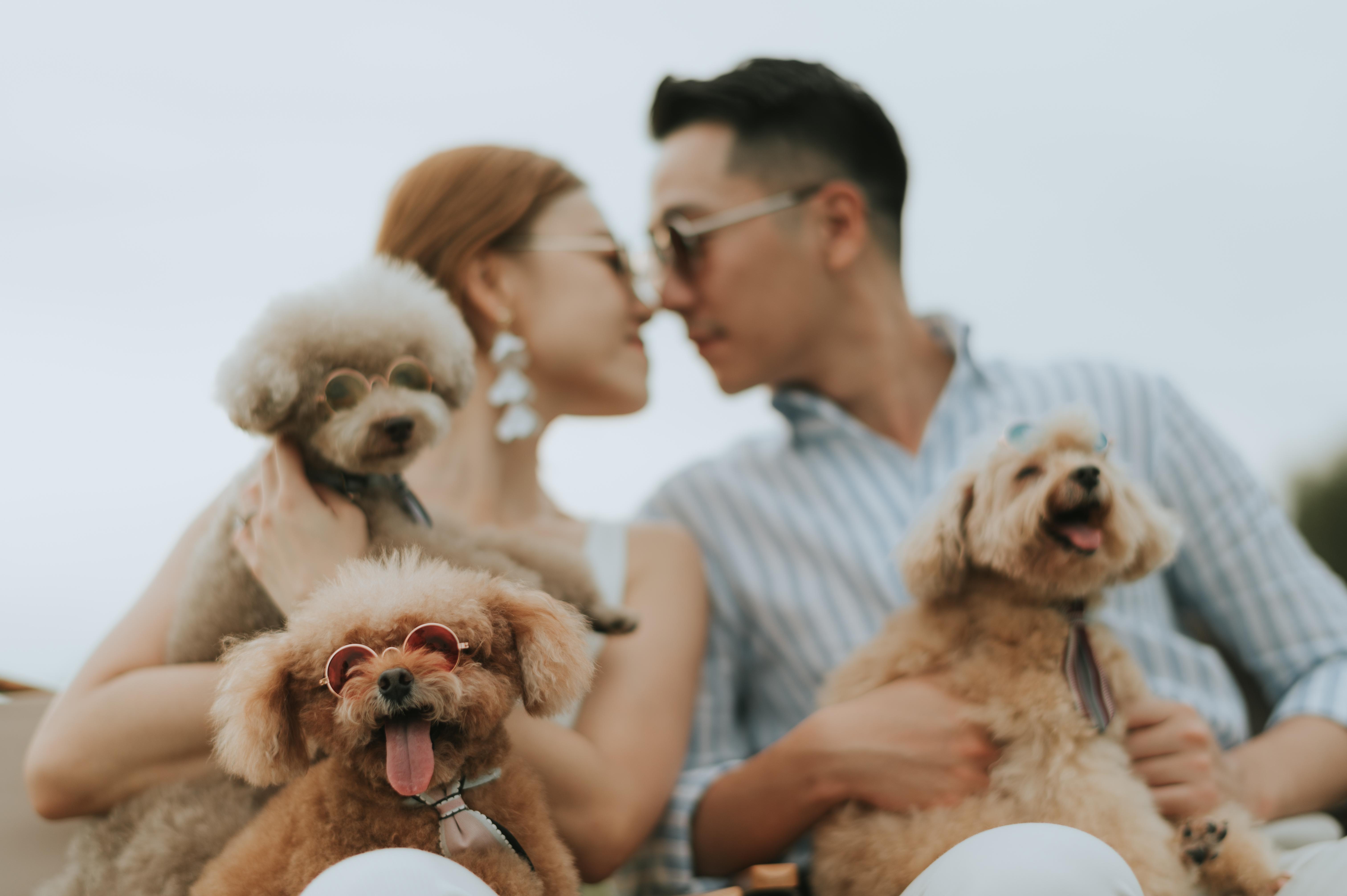 The Wedding Website of Kuan Yu Shen and Tristan Pang