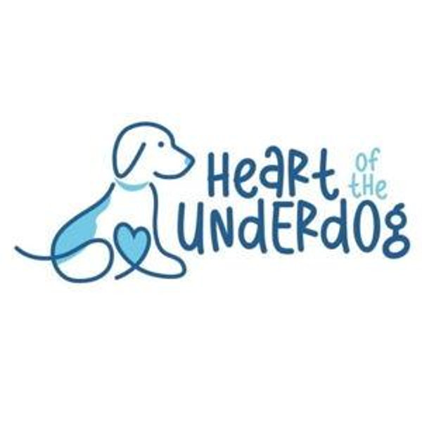 Our Favorite Charity - Tush's Rescue