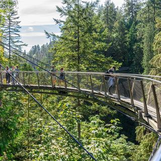Discover North Vancouver & Capilano Suspension Bridge Tour for 2