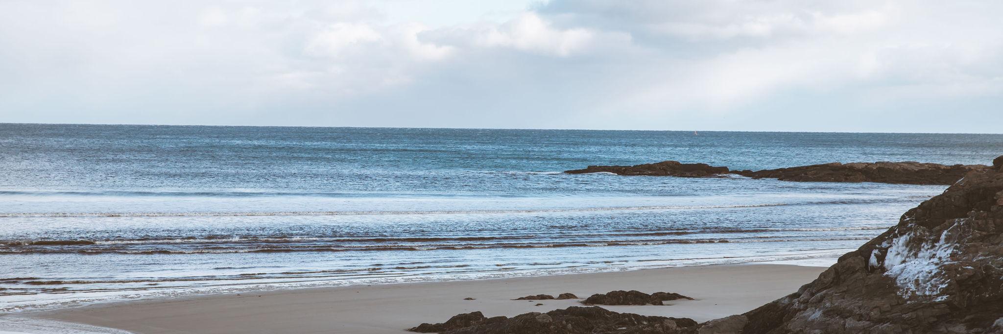 The Wedding Website of Emily Johnson and Zachary Forehand