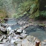 Terwilliger Hot Springs Trailhead