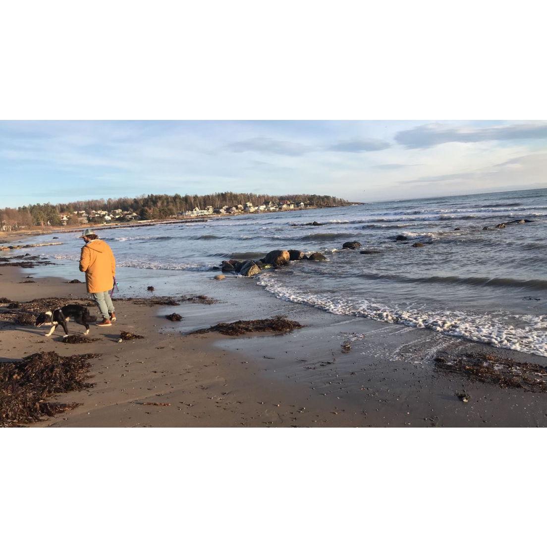 David and Alaina take a walk with Zoe in Tonsberg, Norway - December 2019